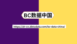 BC数据中国